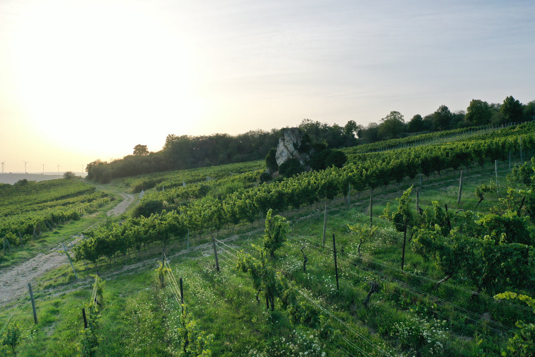 image in image with text