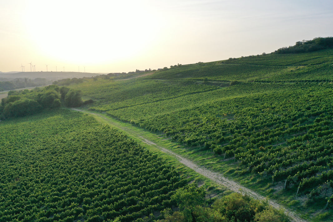 image in image with text