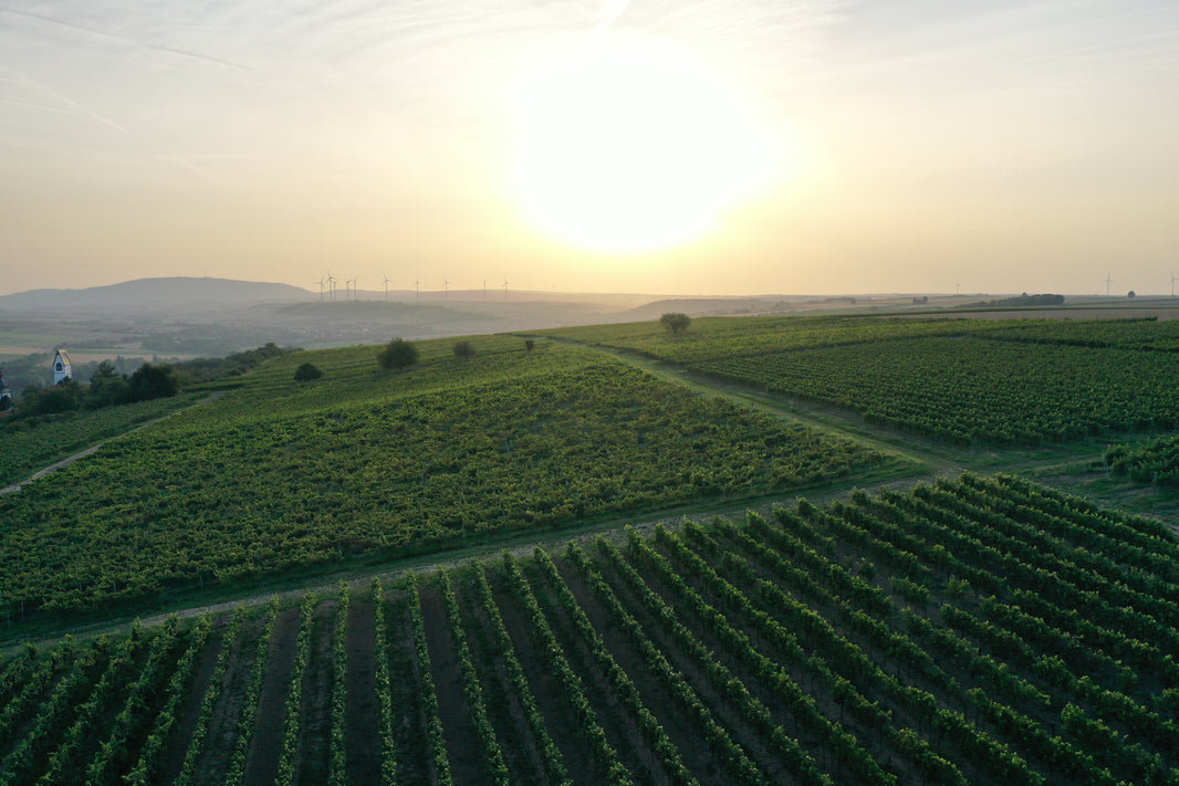 image in image with text