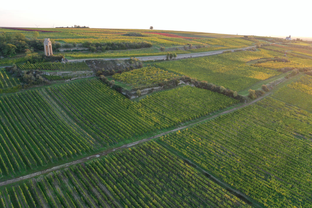 image in image with text