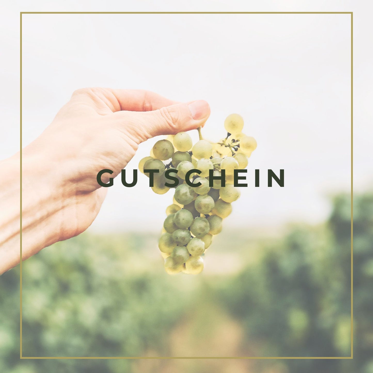 WEINGUT SCHWEDHELM - GUTSCHEINE